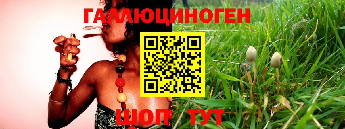 Будённовск  Псилоцибиновые грибы мицелий  Вход с VPN  Галлюциногенные грибы Magic Shrooms 